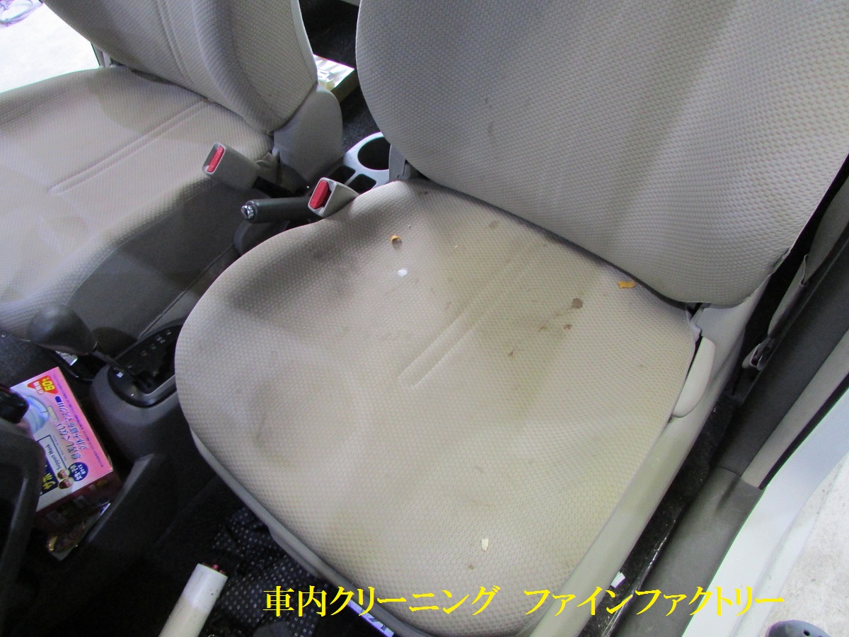 車のルームクリーニング　宮崎　ファインファクトリー　猫の糞尿　消臭
